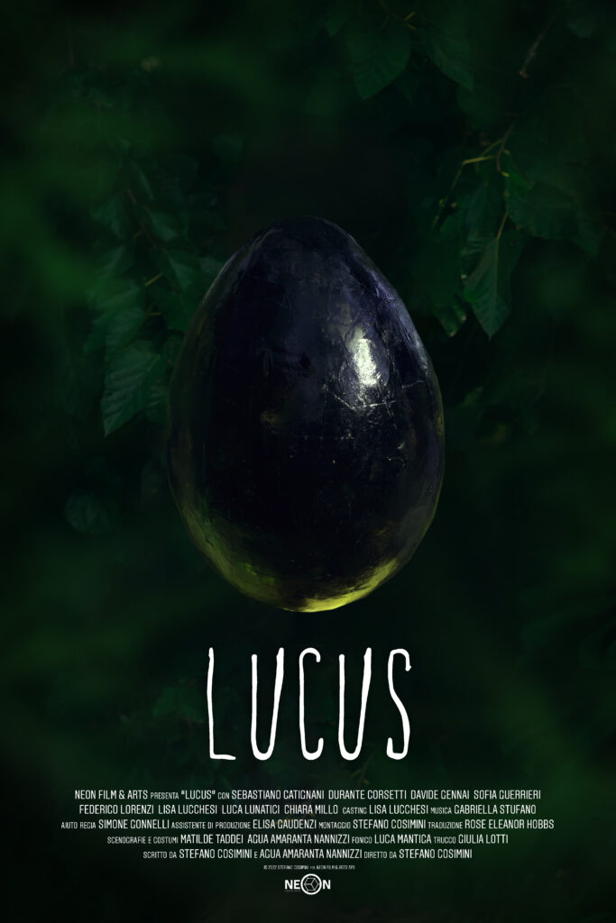 Lucus | Gabriella Stufano